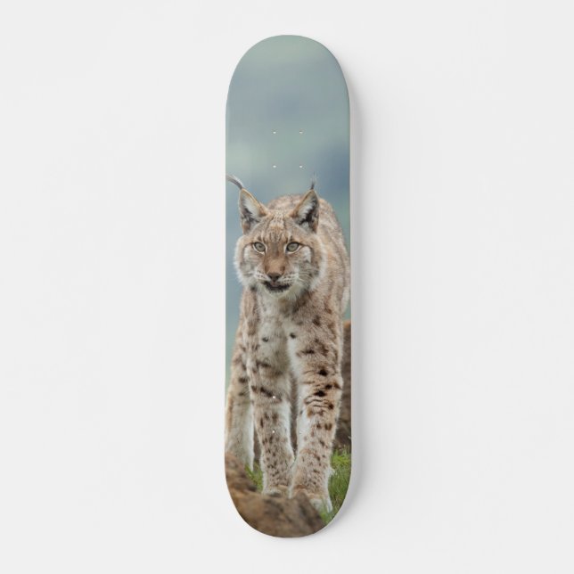 Tabla de Skate Gato Montés Silvestre (Frente)