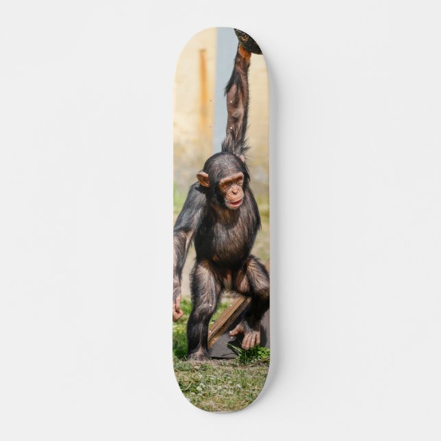 Tabla de Skate Mono Chimpancé Guindado (Frente)