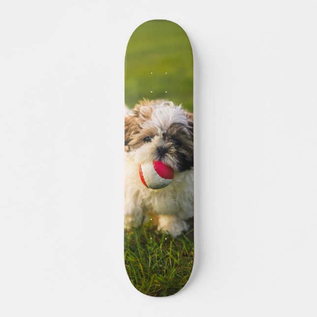 Tabla de Skate Perrito Peludo con su pelota (Frente)