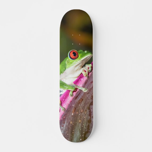 Tabla Skate Rana Arbórea de Ojos Rojos (Frente)