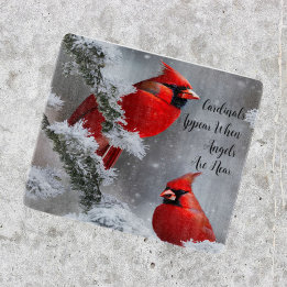 Tabua De Cortar Anjos De Aves Cardinais Vermelhas Estão Perto Do C