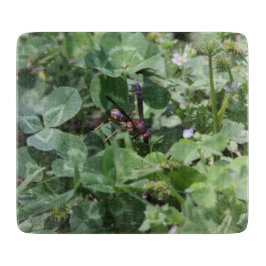 Tabua De Cortar Conselho de corte de resíduos