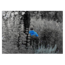 Conselho de Corte de Visitante de Jardim Azul Sele
