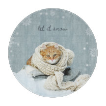 Conselho De Corte, Gato De Inverno Que Neve