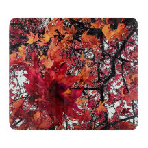 Folhas vermelhas e laranja