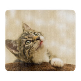 Tabua De Cortar Gatinho Fofo com uma Pata Estimulada