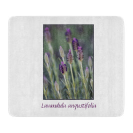 Tabua De Cortar Lavanda no Bloom