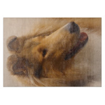 Retrato de uma Collie de Aranha