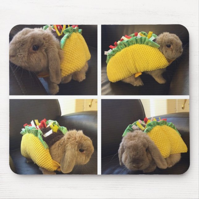 Taco Mousepad do coelho (Frente)