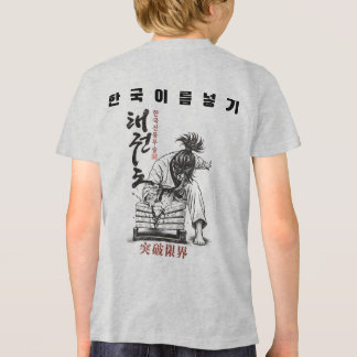 Taekwondo Quebra Limites Artes Marciais Coreanas V