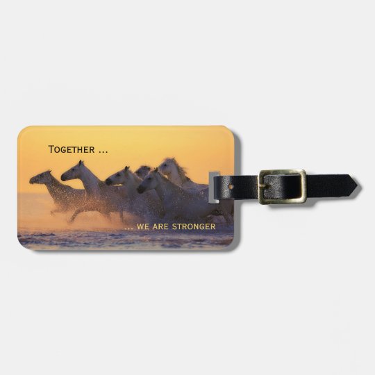 Tag da bagagem do por do sol do oceano dos cavalos etiqueta de bagagem
