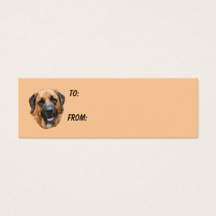 Tag do presente da foto do cão da cara do Mastiff