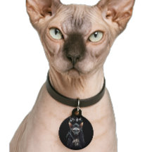 Gato Sphynx Ceifador Placa de Identificação de Pet