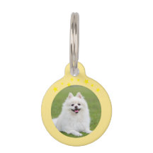 Placa Redonda de Natal para Pet – Identificação Fe