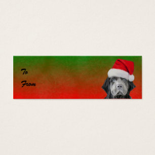 Tag tormentosos do presente do Natal