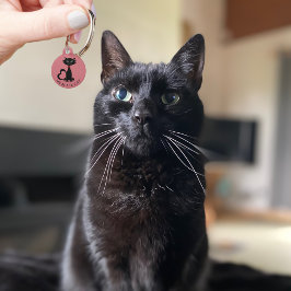 Tags Para Animais Nome de Gato Preto Cachado Endereço Cor-de-Rosa ID