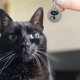 Tags Para Cães Nome do Gato de Gato Preto Cinto Endereço Cinza ID