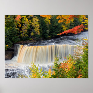 Tahquamenon superior cai no poster do outono