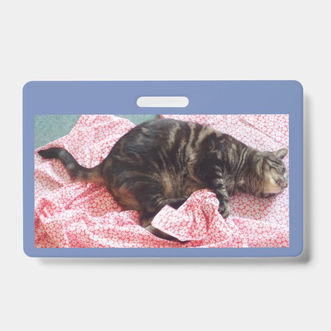 Tailor Dave ID Crachá (Frente)