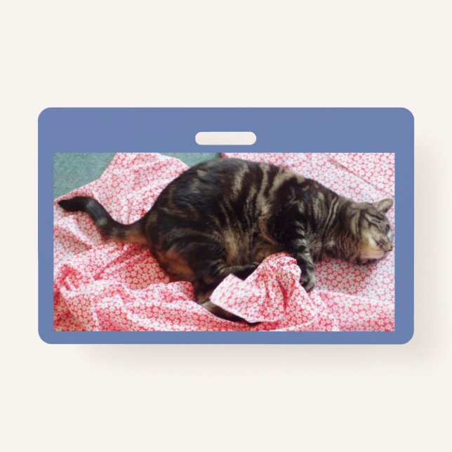 Tailor Dave ID Crachá (Frente)