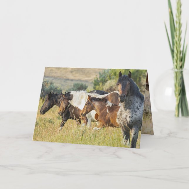 Takini e seu Cartão de Saudação Familiar (Frente)