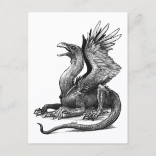 Talão - Cartão postal