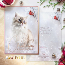Talas de inverno, Kitten e Red Cardinal Bird em Ne