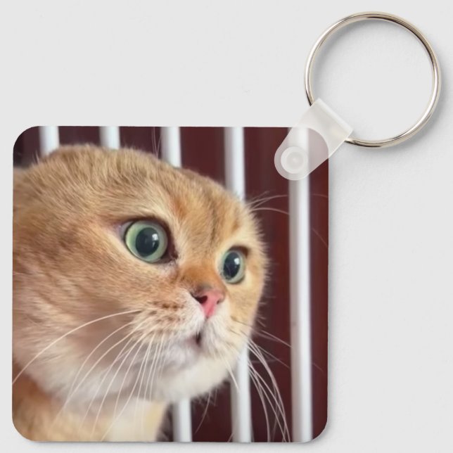 Talking Cats Meming Double Sided Chaveiro (Verso)