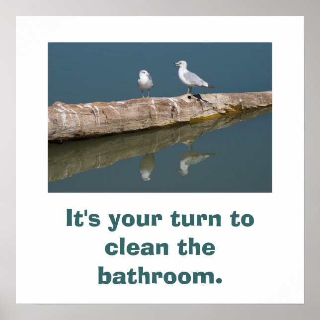 Talking Gull Poster (Frente)