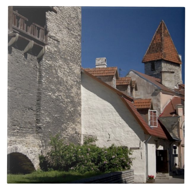 Tallin, Estônia. Tallin é um tanto (Frente)