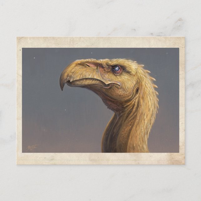 Talon's Head - Cartão postal (Frente)