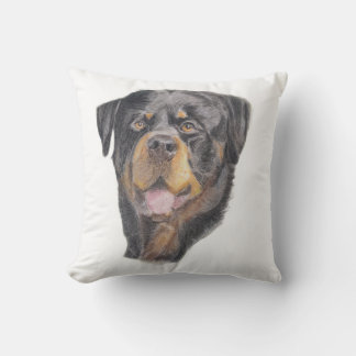 Tamanho: Almofada 40,6 x 40,6 cm