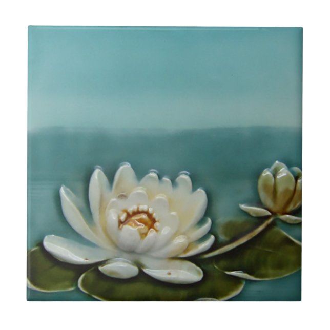 Tamanhos do azulejo 2 de Backsplash do design do (Frente)