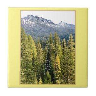 Tamarack Dourado