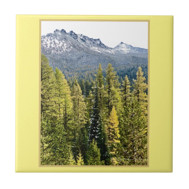 Tamarack Dourado (Frente)