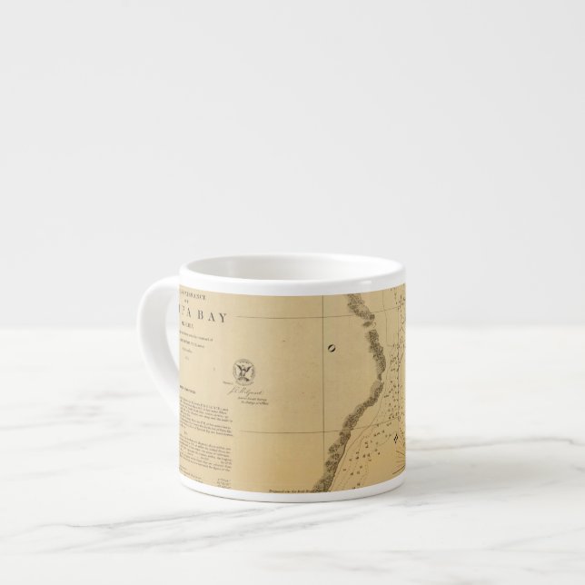 Tampa Bay 1855 caneca de café (Frente Esquerda)