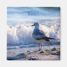 Tampa, imã de geladeira FL