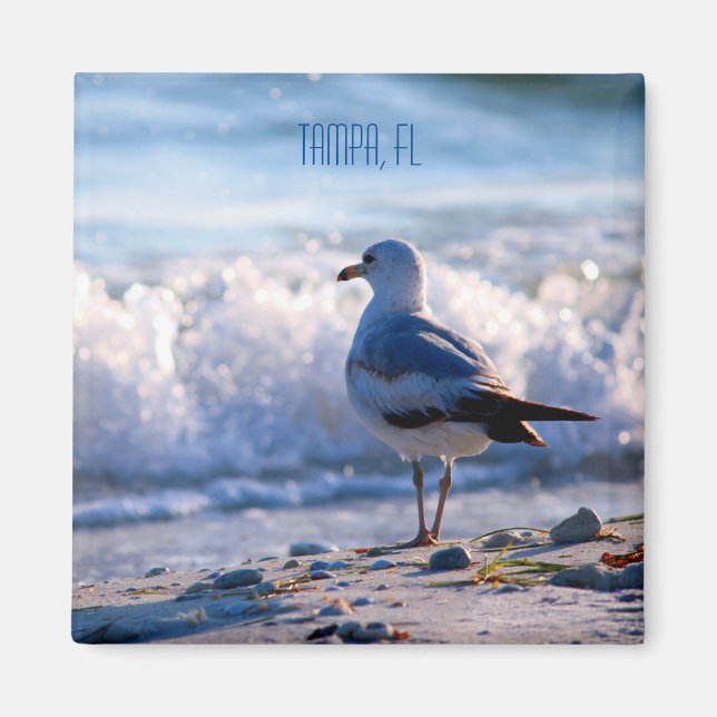 Tampa, imã de geladeira FL (Frente)