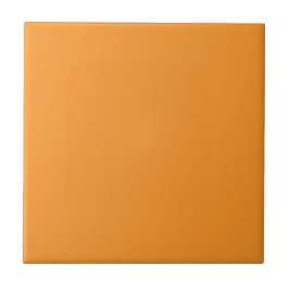 Tangerine Orange Solid Color | #F99529