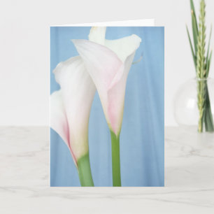 Tango White Calla Lily Photo Art Cartão de Saudaçã