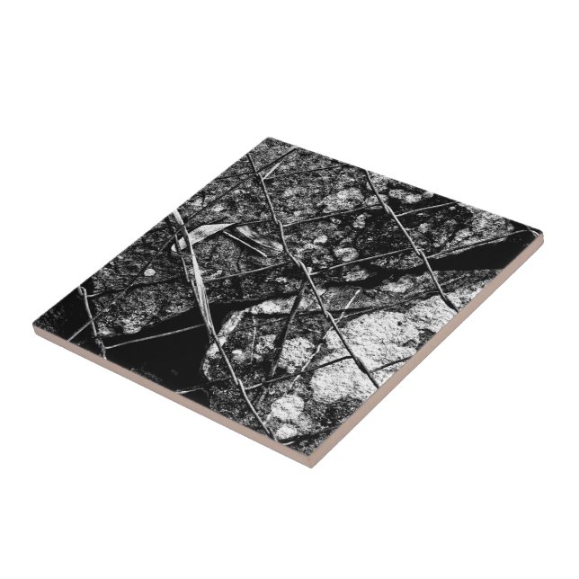 tanto para amanhã (Lateral)