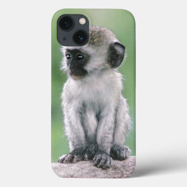 Tanzania, Ngorogoro Crater. Close-up of wild (Verso)