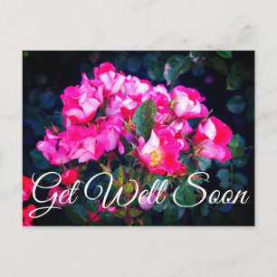Tão Bem Logo Espírito Livre Rosa #1 Cartão Postal