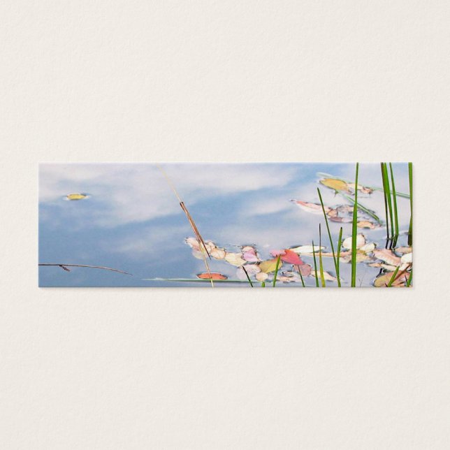 Tao do Indicador de Água (Frente)