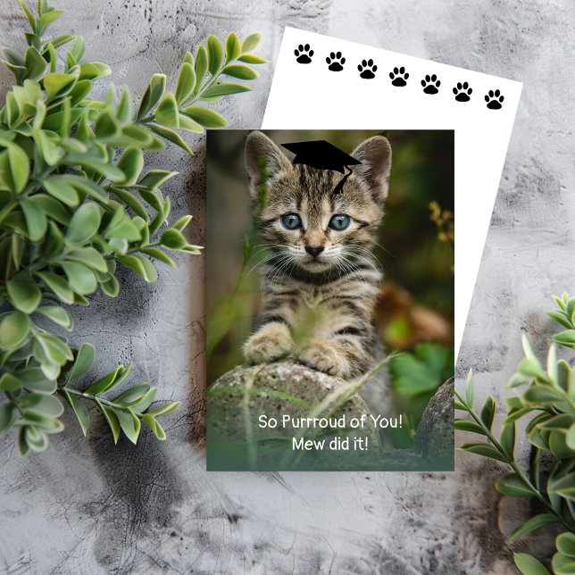 Tão Purroud de você! Graduação Kitten (Criador carregado)