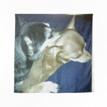 Tapeçaria Amor de Cachorrinho