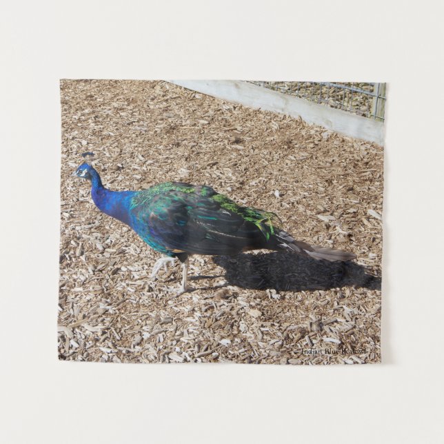 tapeçaria de Pavão Azul Indiano (Frente (Horizontal))