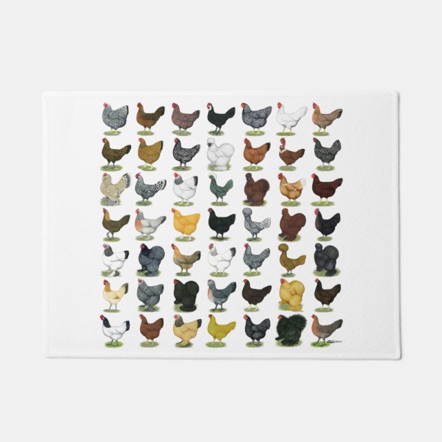 Tapete 49 galinhas da galinha (Frente)