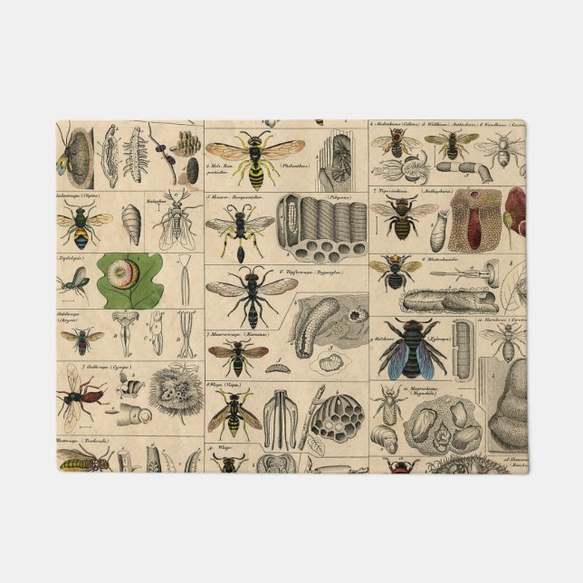 Tapete Abelhas De Inseto Insetos Vaza História Natural (Frente)