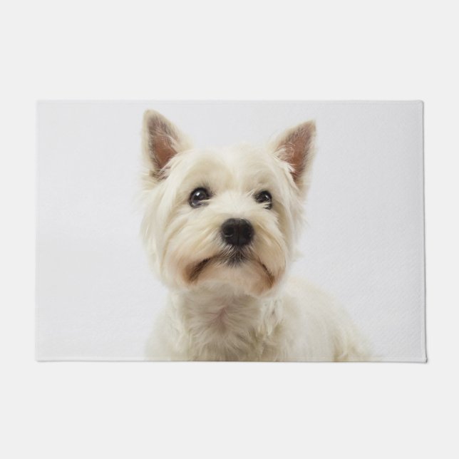 Tapete Adorável Highland West Highland Terrier branco (Frente)